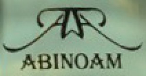 Abinoam logo