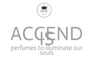 Accendis logo
