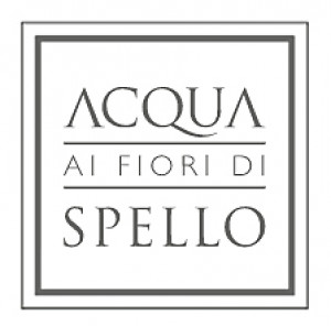 Acqua ai Fiori di Spello logo