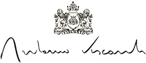 Antonio Visconti logo