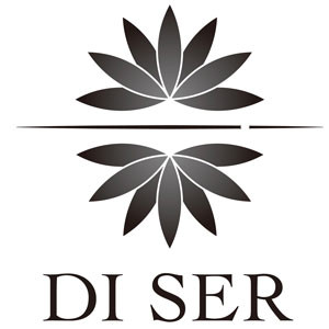 DI SER logo