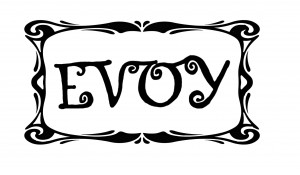 EVOY logo