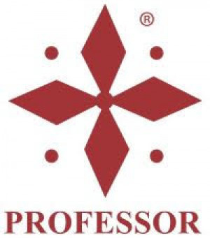 Professor logo