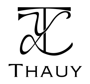 Thauy logo