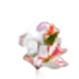Abelia