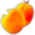 Apricot