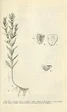 Aquatic notes