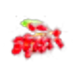 Barberry