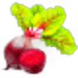 Beetroot