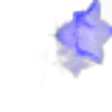 Bellflower