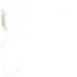 Bigarane™