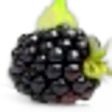 Blackberry