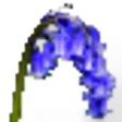 Bluebell
