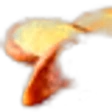 Brazil nut