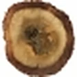 Cambodian Oud