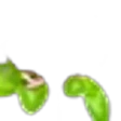 Clover