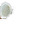 Coconut Powder