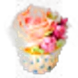 Creamy Flowers