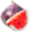Fig