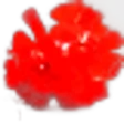 Geranium