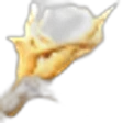 Ginseng