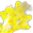 Goldenrod