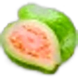 Guava