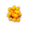 Hog Plum