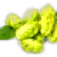 Hops