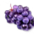 Isabella Grape