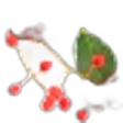 Japanese pepper