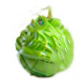 Kaffir Lime