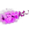 Liatrix