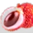 Litchi