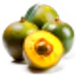 Lucuma