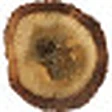 Malaysian Oud