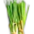 Palmarosa