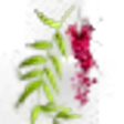 Peruvian Pepper