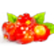 Pitanga