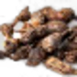 Priprioca