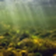 River Notes