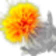 Safflower