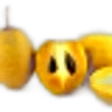 Sapodilla