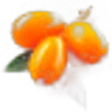 Sea Buckthorn