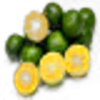 Shiikuwasha