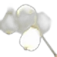 Snowberry