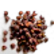 Timur