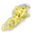 White Grape
