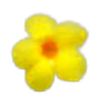 Yellow Bells