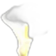 Arum Lily